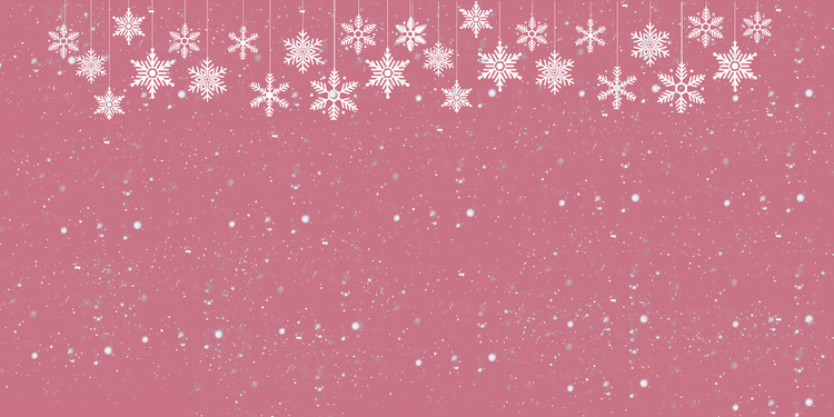 HOLIDAY GIFT GUIDE