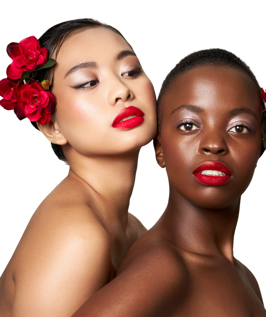 The Semi -Matte Lipstick Collection